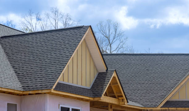 Best Sheet Metal Roofing  in Oakfield, WI